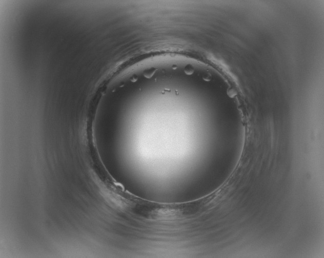 X0000069830154200605191149