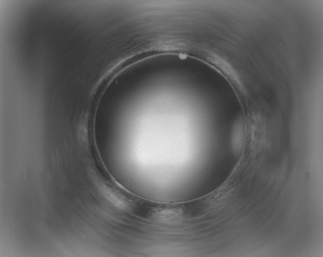 X0000069830155200605191149