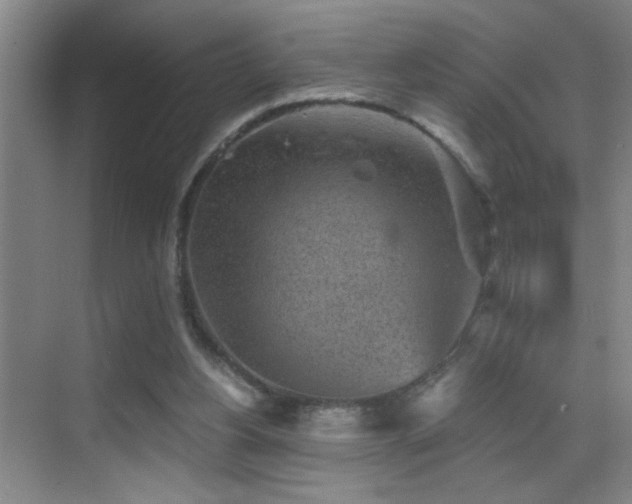 X0000069830156200605191149