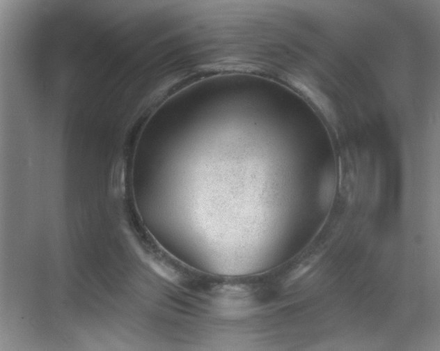 X0000069830157200605191149