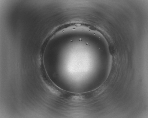 X0000069830160200605191149