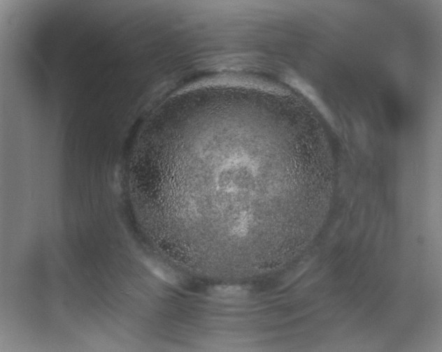 X0000069830161200605191149