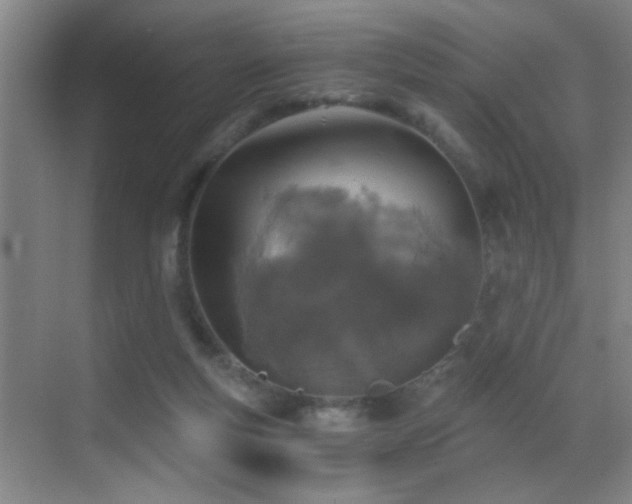 X0000069830163200605191149