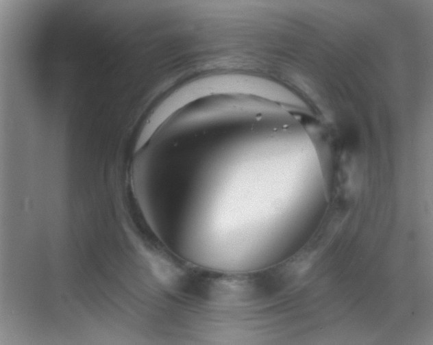 X0000069830164200605191149