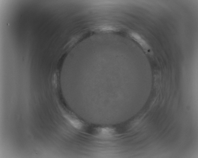 X0000069830165200605191149