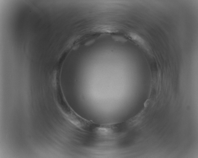 X0000069830167200605191149