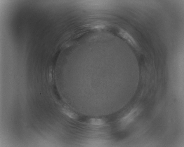 X0000069830169200605191149