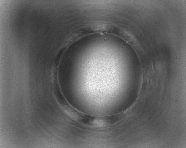 X0000069830171200605191149