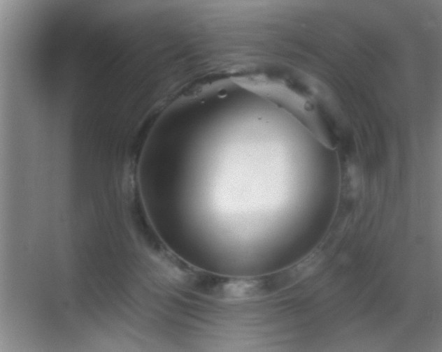 X0000069830172200605191149