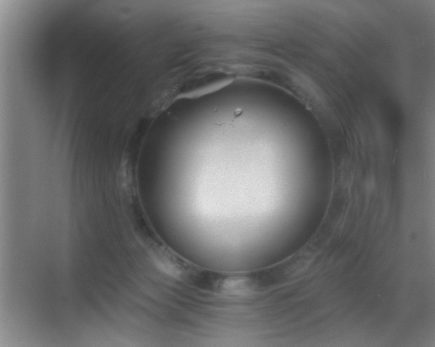 X0000069830173200605191149