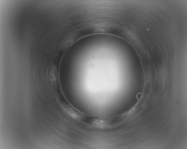 X0000069830174200605191149