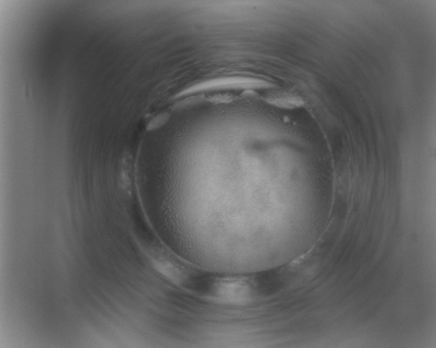 X0000069830175200605191149