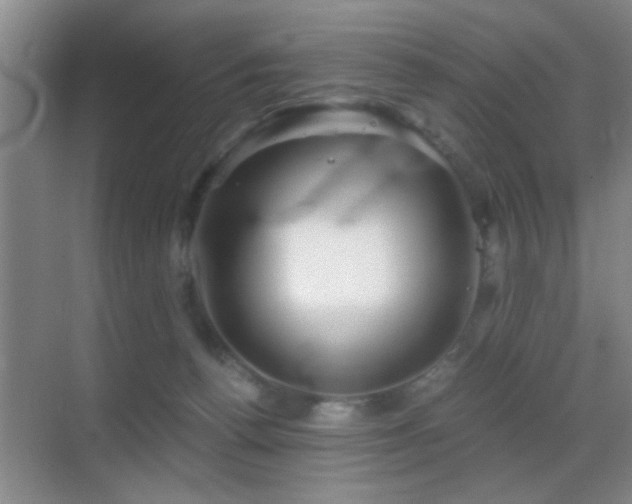 X0000069830176200605191149