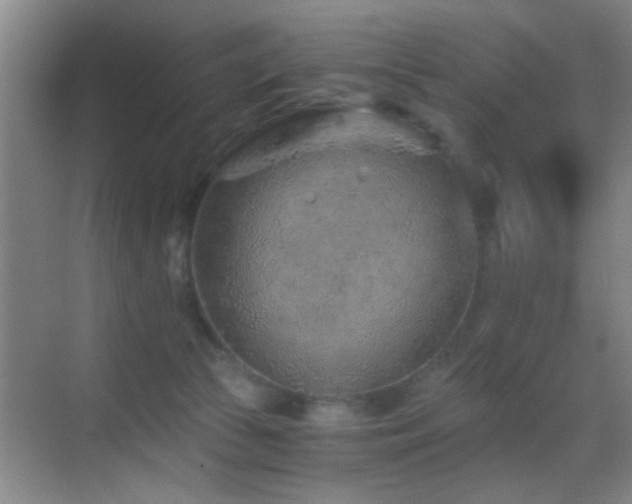 X0000069830177200605191149