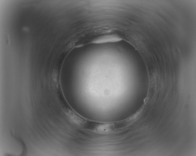 X0000069830178200605191149