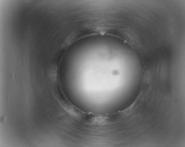 X0000069830179200605191149