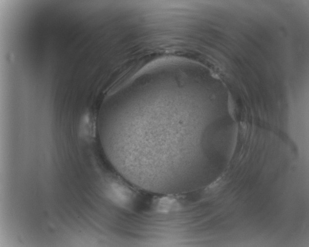 X0000069830180200605191149