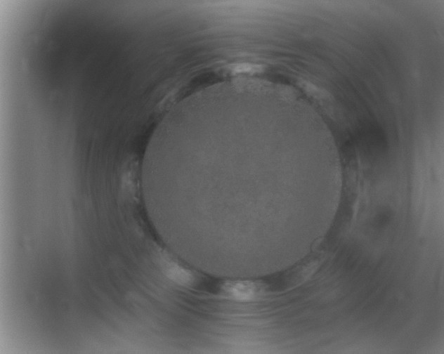 X0000069830181200605191149