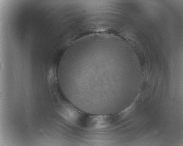 X0000069830182200605191149