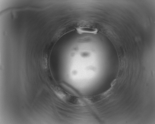 X0000069830183200605191149