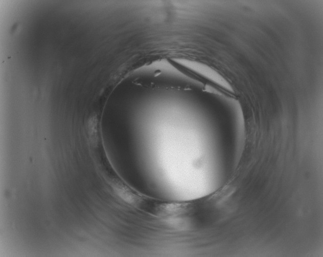 X0000069830184200605191149