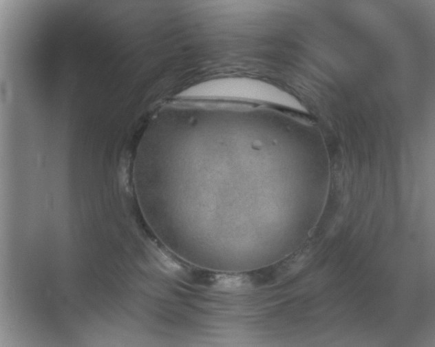 X0000069830185200605191149