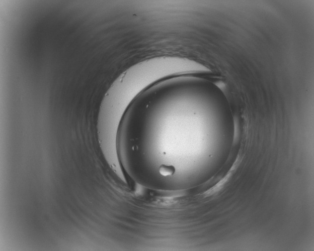 X0000069830186200605191149