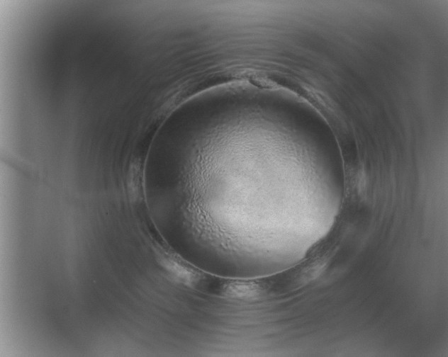 X0000069830189200605191149