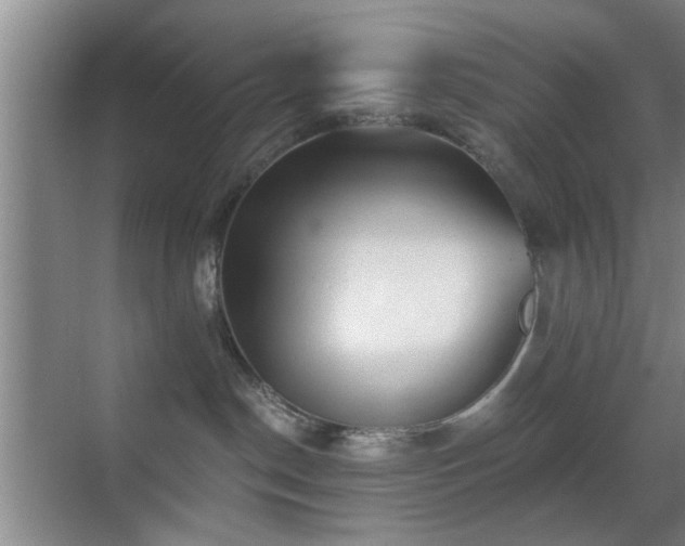 X0000069830190200605191149