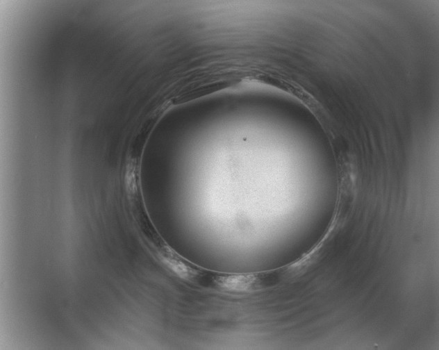 X0000069830191200605191149