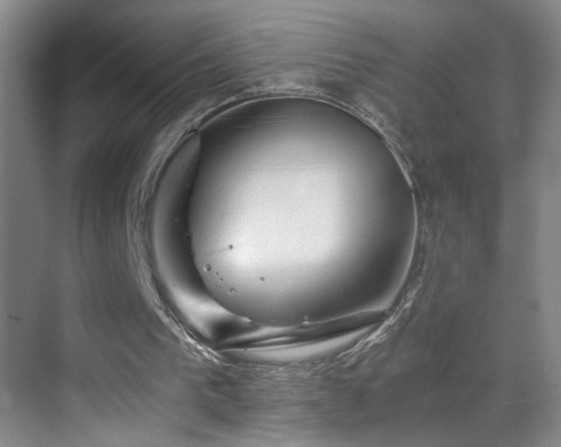 X0000069830193200605191148