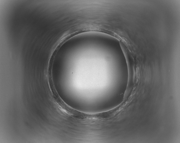 X0000069830195200605191148