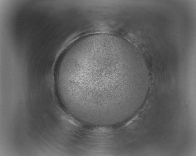 X0000069830198200605191148