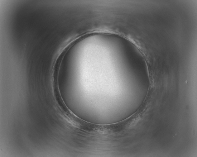 X0000069830199200605191148