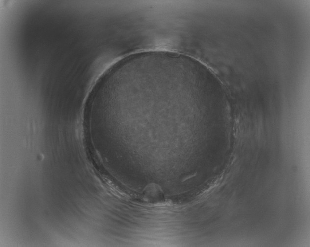 X0000069830200200605191148