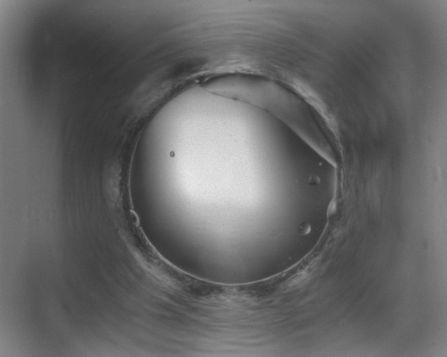 X0000069830201200605191148