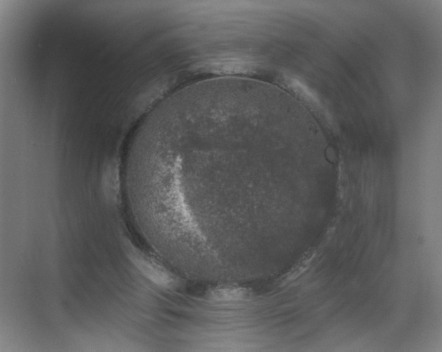 X0000069830202200605191148