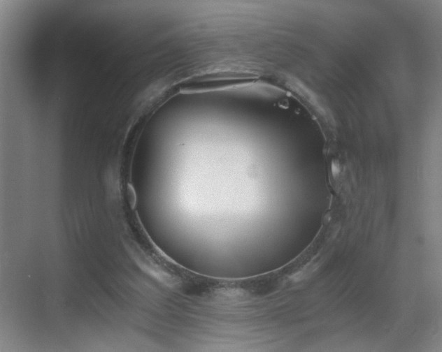 X0000069830203200605191148