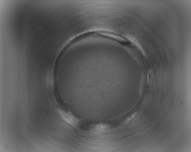 X0000069830204200605191148