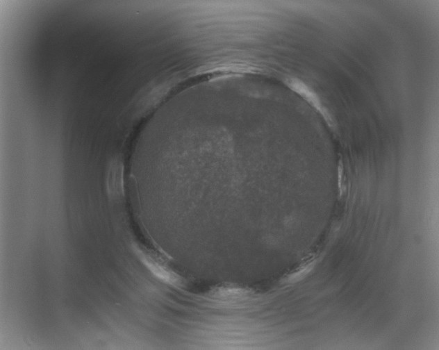 X0000069830205200605191148