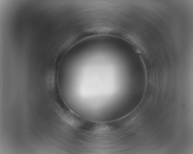 X0000069830206200605191148