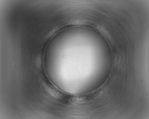 X0000069830208200605191148