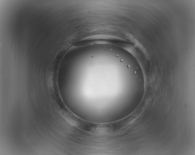 X0000069830209200605191148