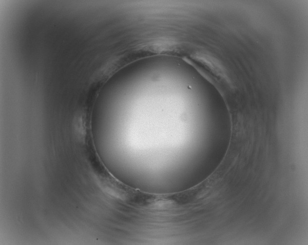 X0000069830210200605191148