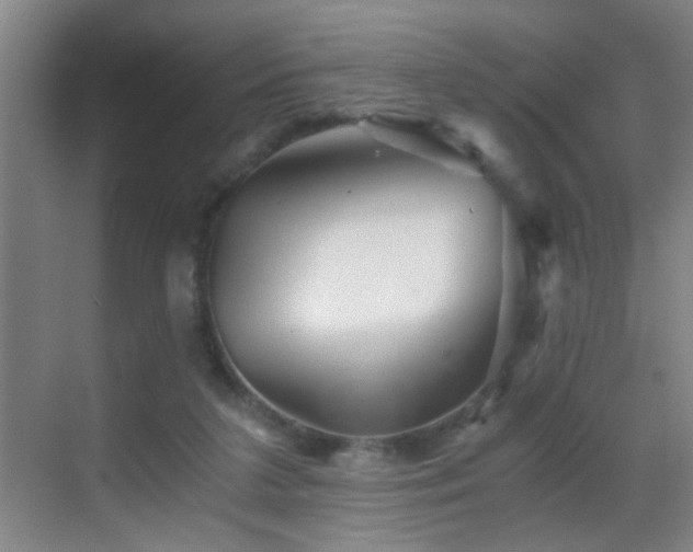 X0000069830211200605191148