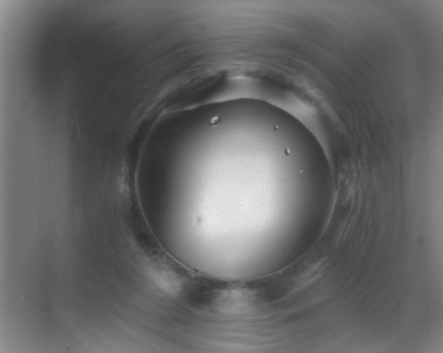 X0000069830212200605191148