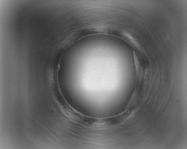 X0000069830213200605191148