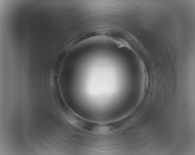 X0000069830217200605191148