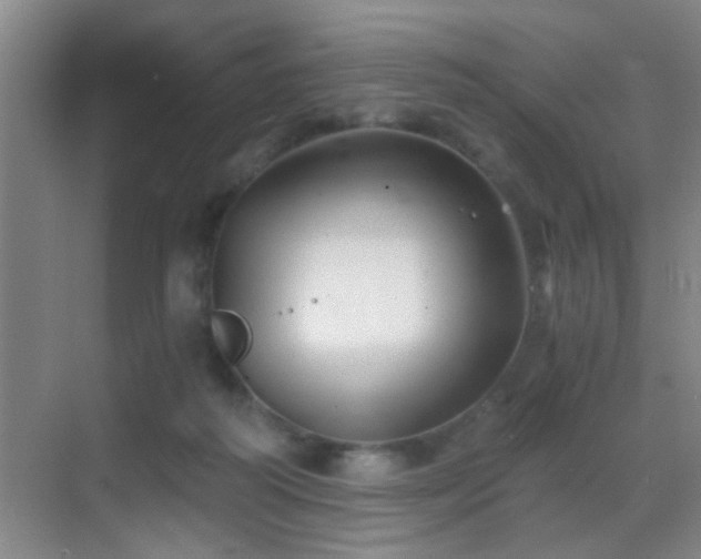 X0000069830218200605191148