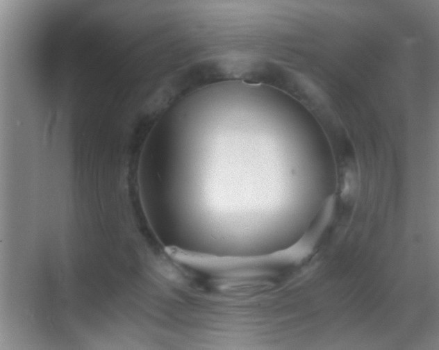 X0000069830221200605191148